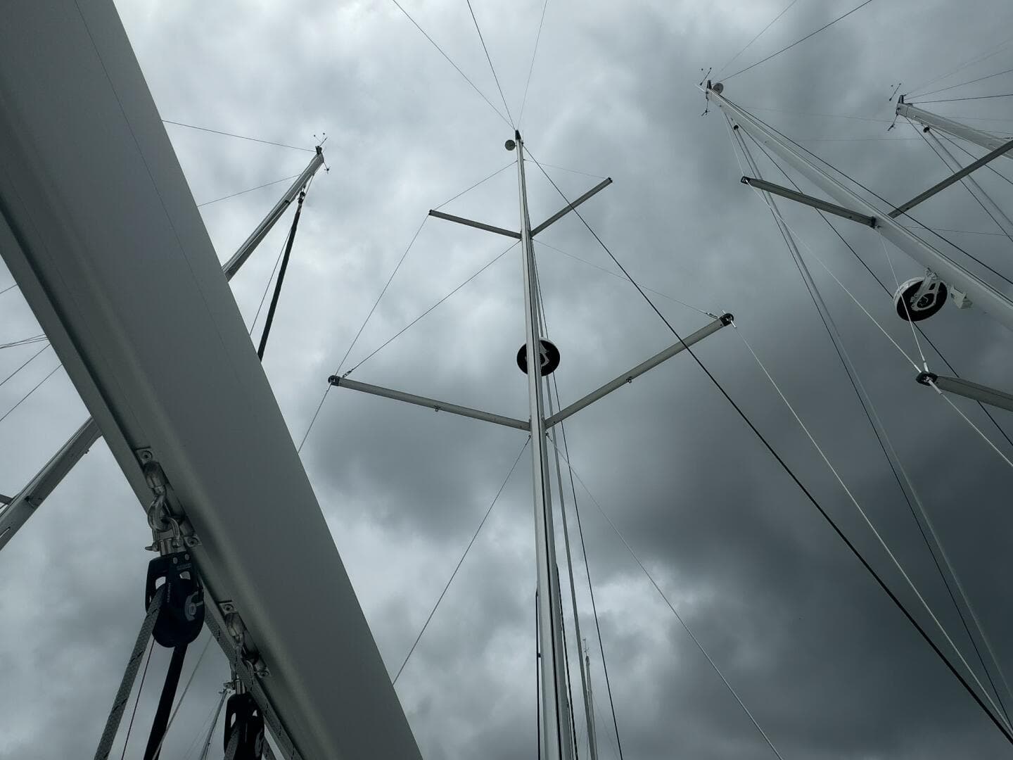 2024 Jeanneau Sun Odyssey 410 #345