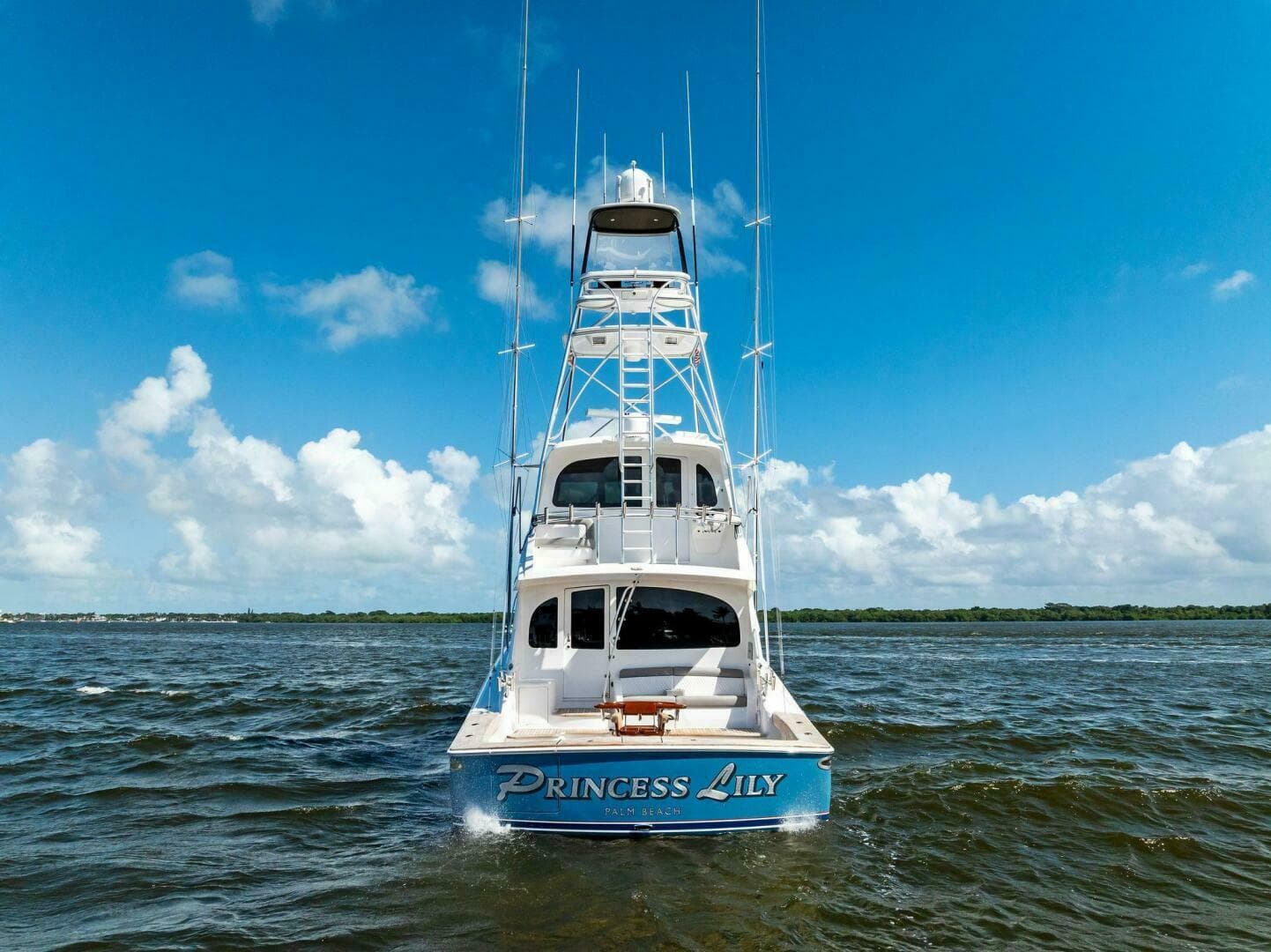 2015 Viking 66 Enclosed Bridge "Princess Lily"