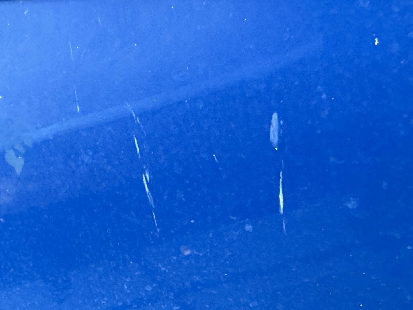 2006 Regal 3360 Window Express