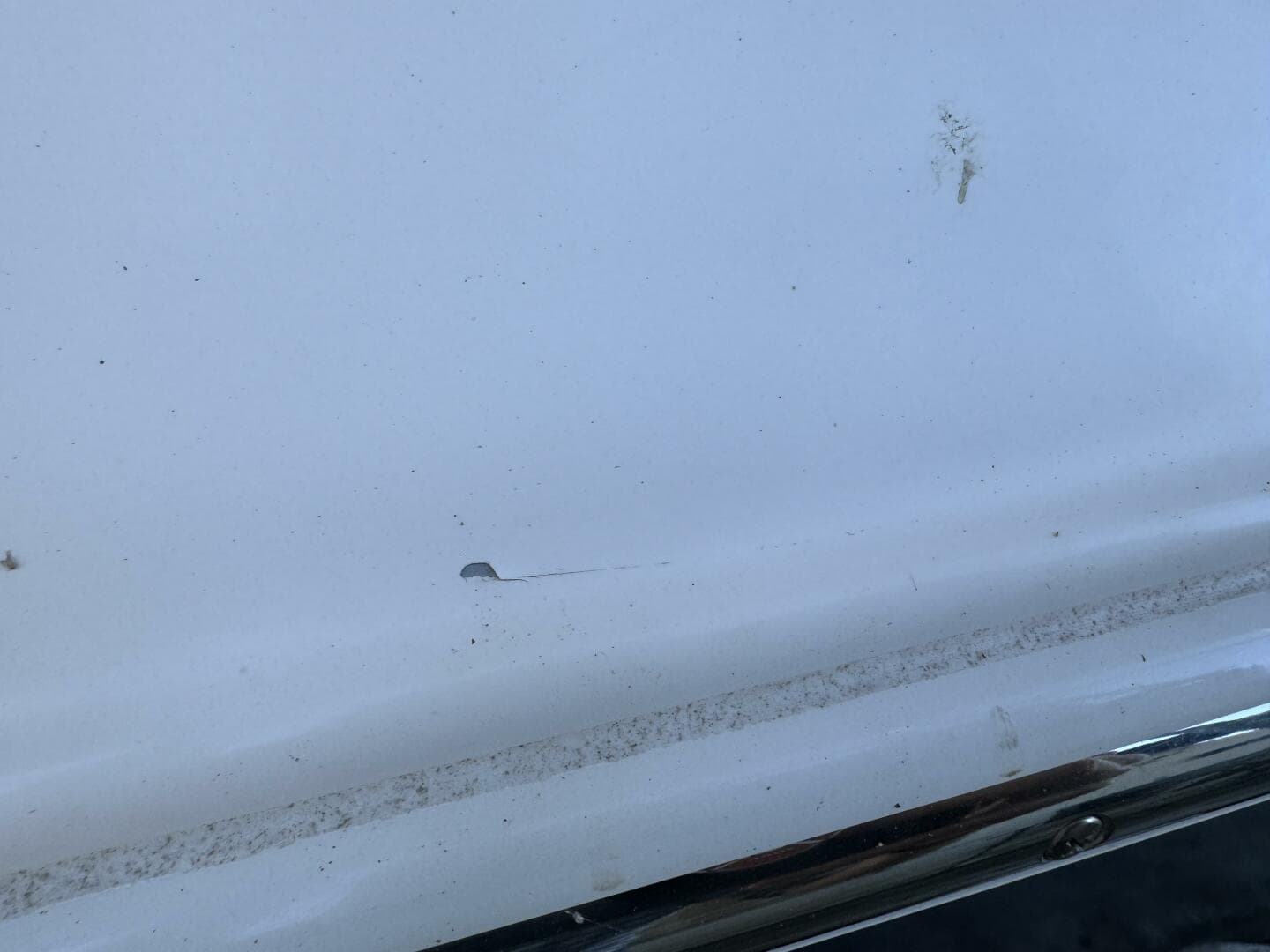 2006 Regal 3360 Window Express