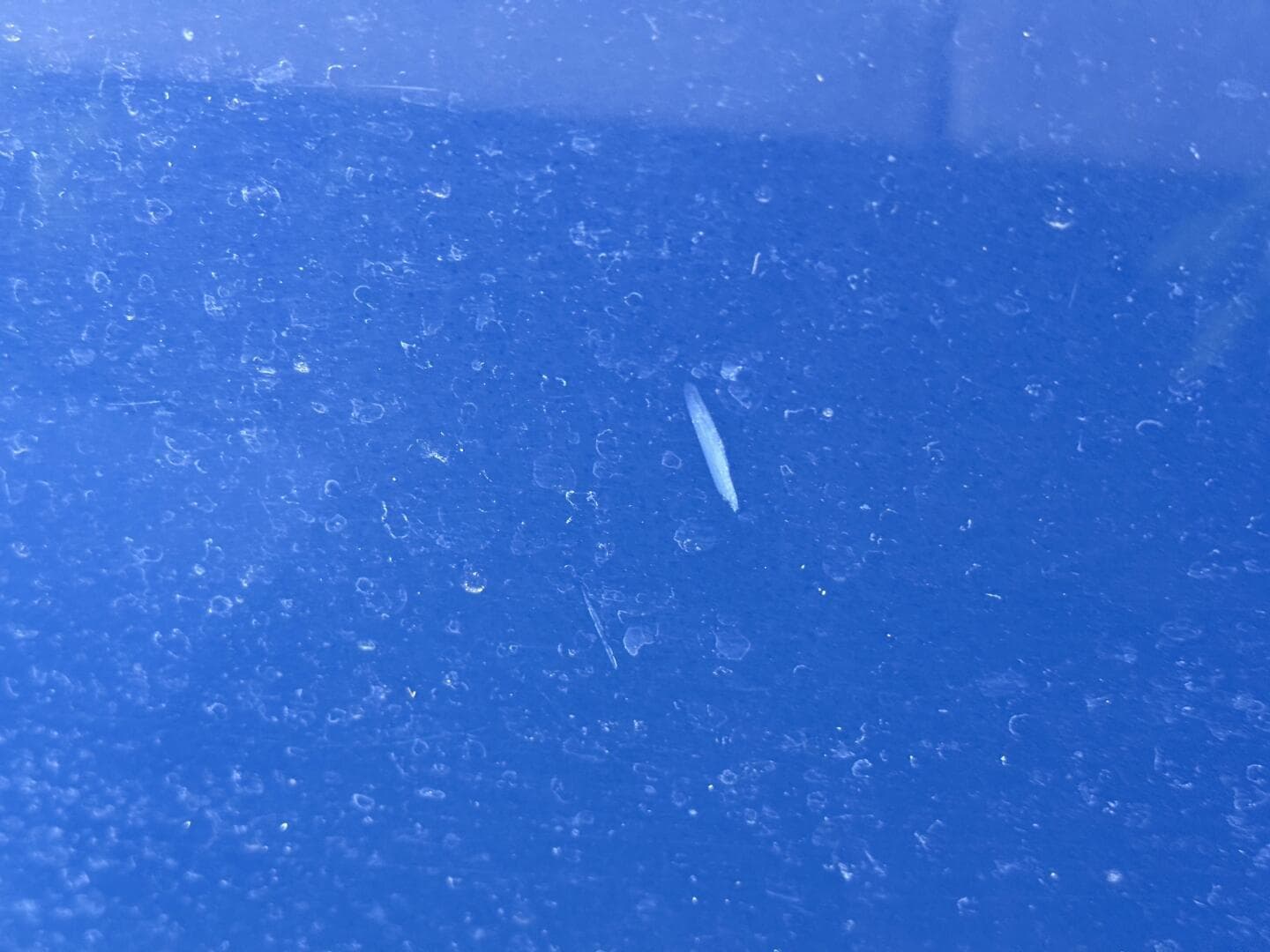 2006 Regal 3360 Window Express