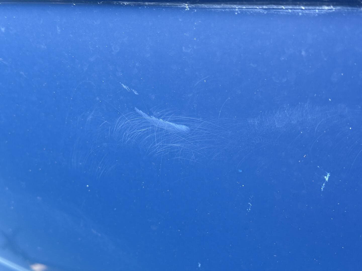 2006 Regal 3360 Window Express