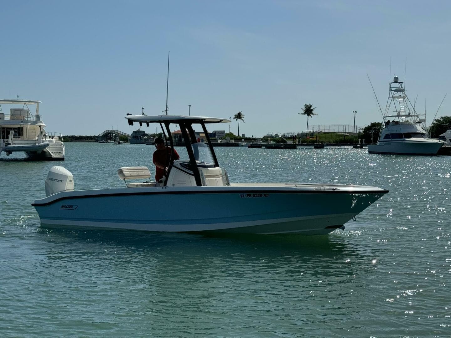 2022 Boston Whaler 250 Dauntless