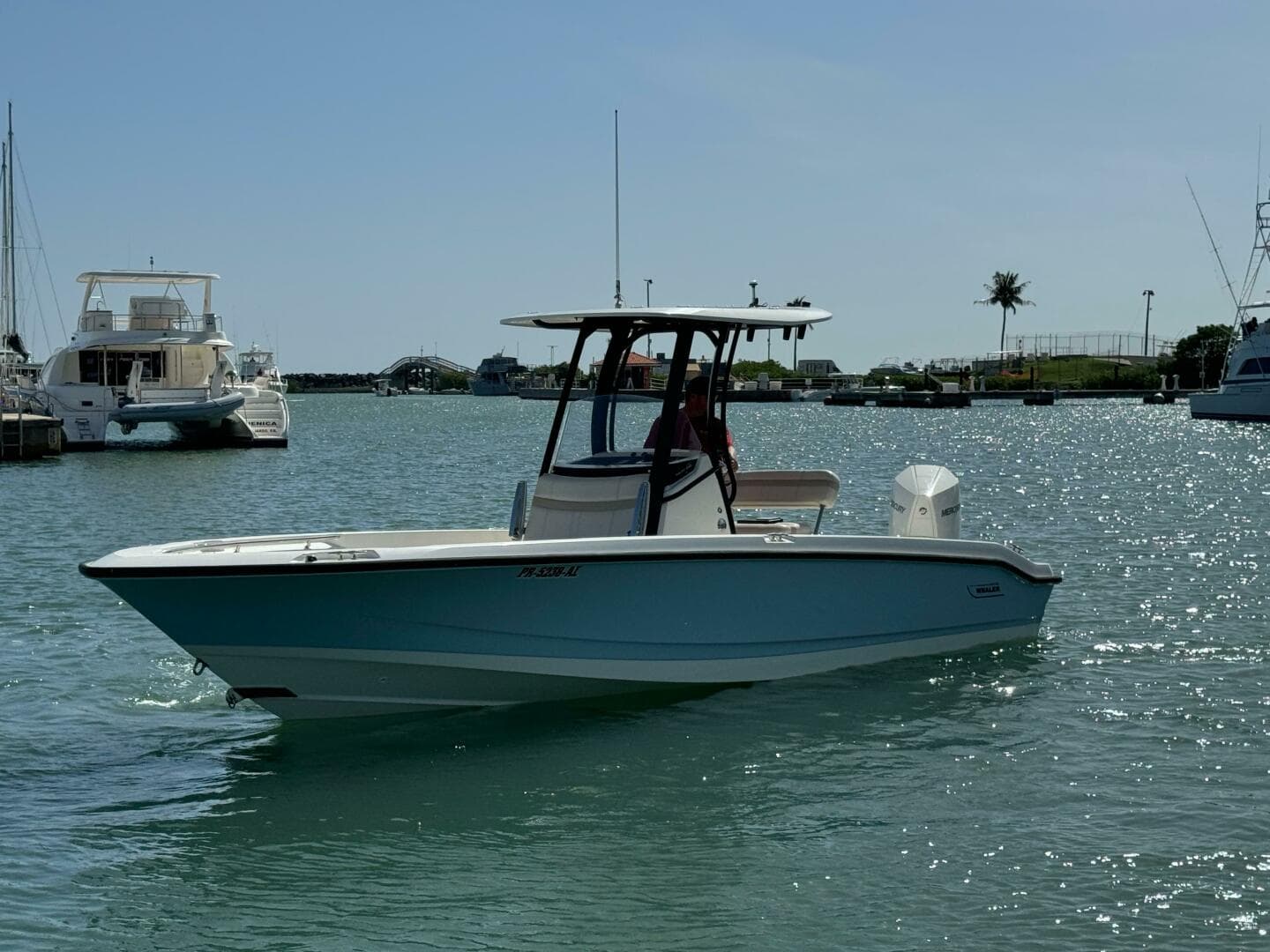 2022 Boston Whaler 250 Dauntless
