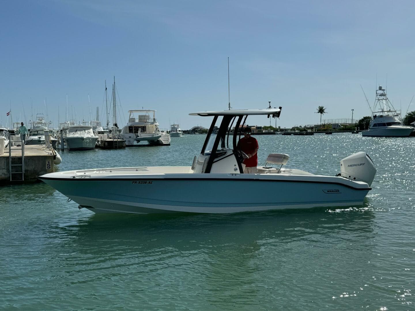 2022 Boston Whaler 250 Dauntless
