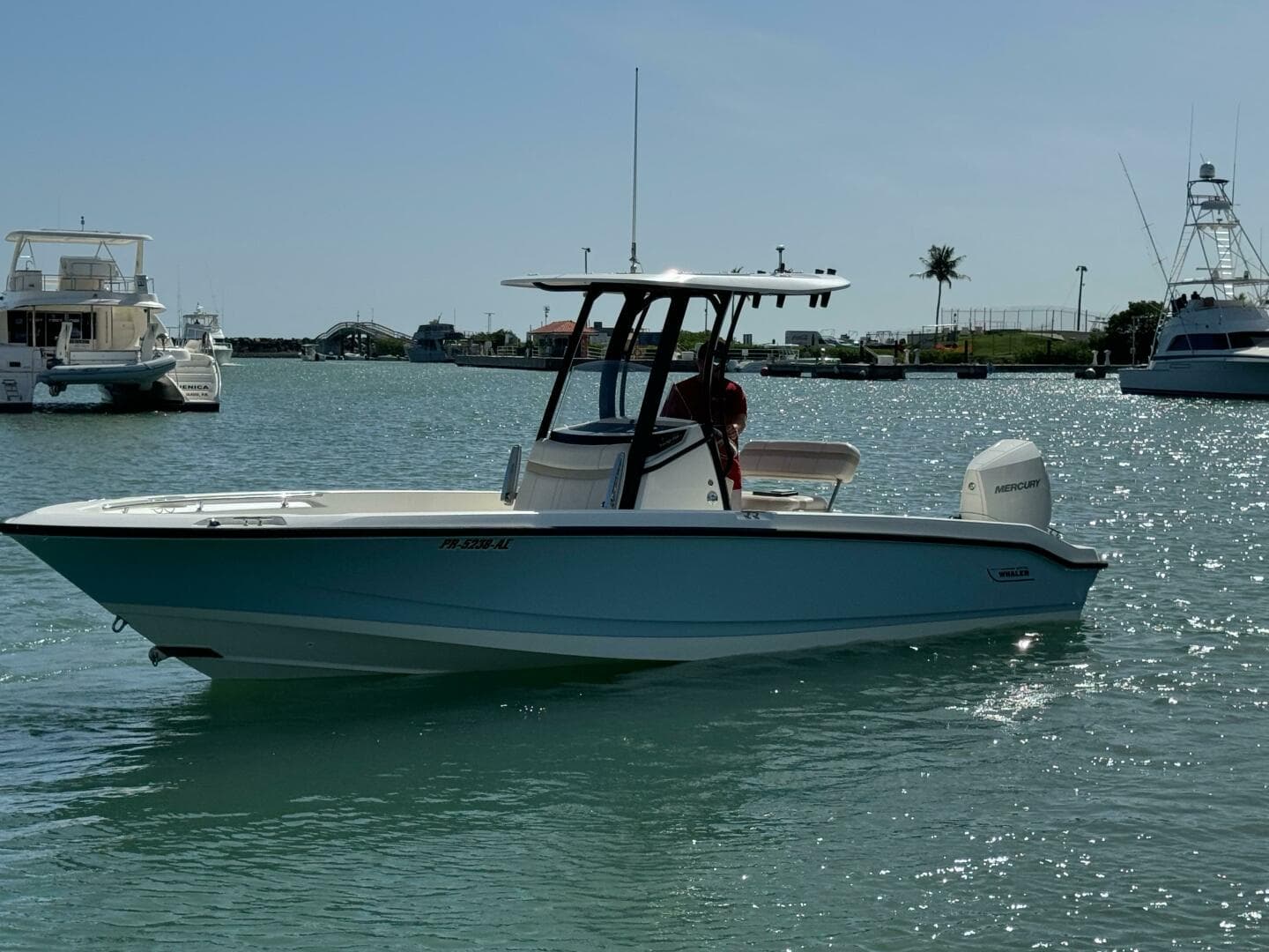 2022 Boston Whaler 250 Dauntless