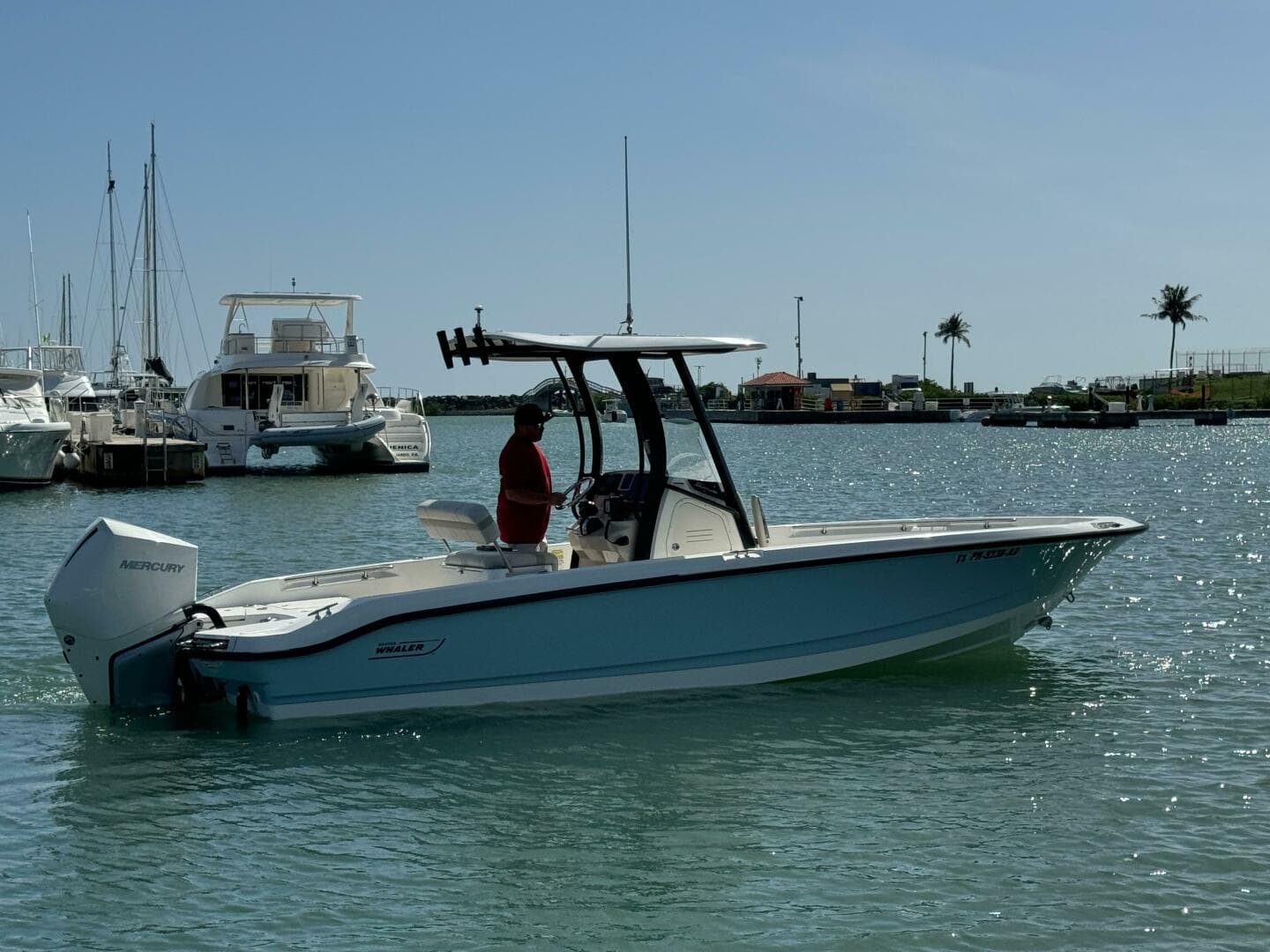 2022 Boston Whaler 250 Dauntless
