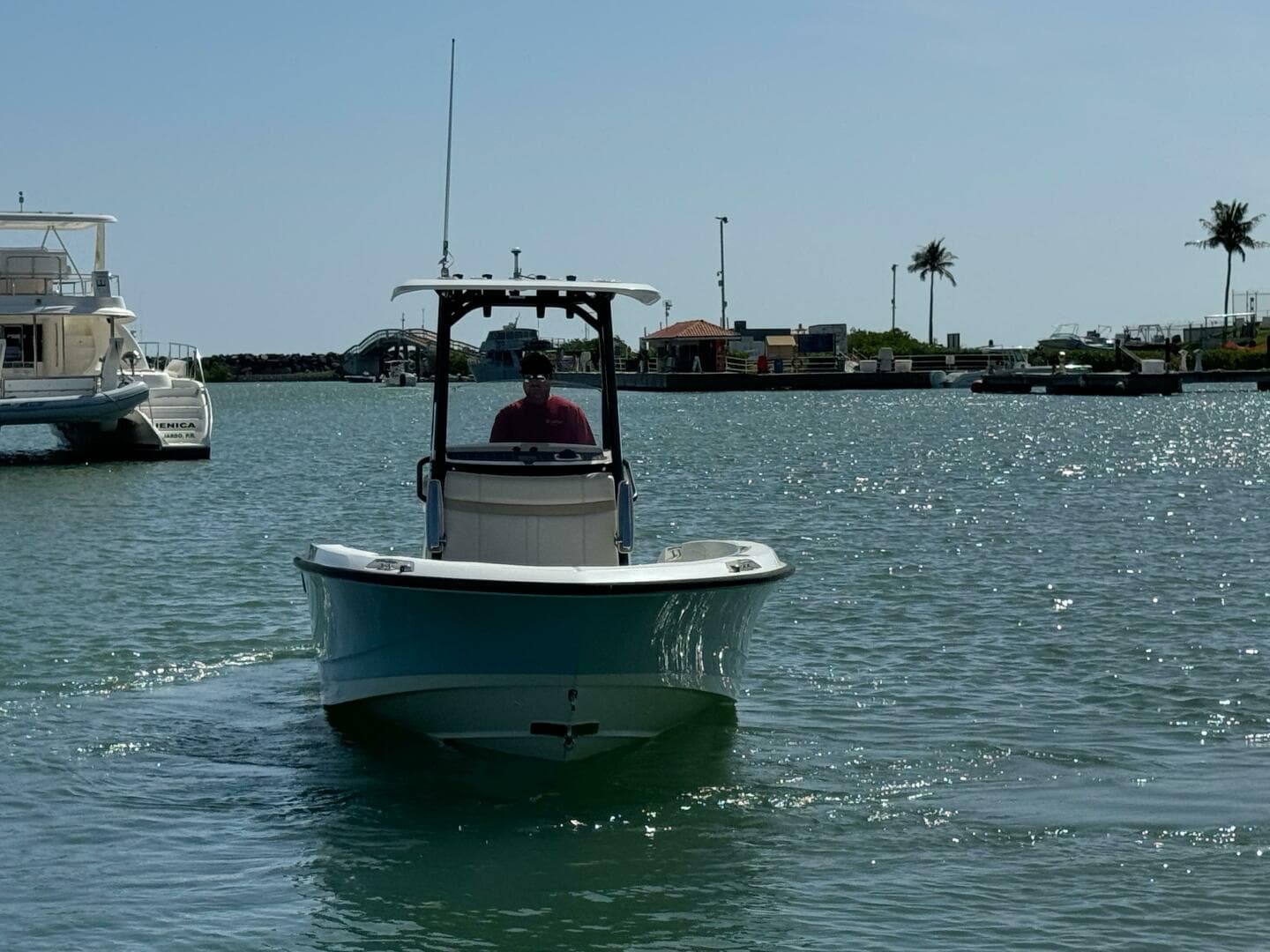 2022 Boston Whaler 250 Dauntless