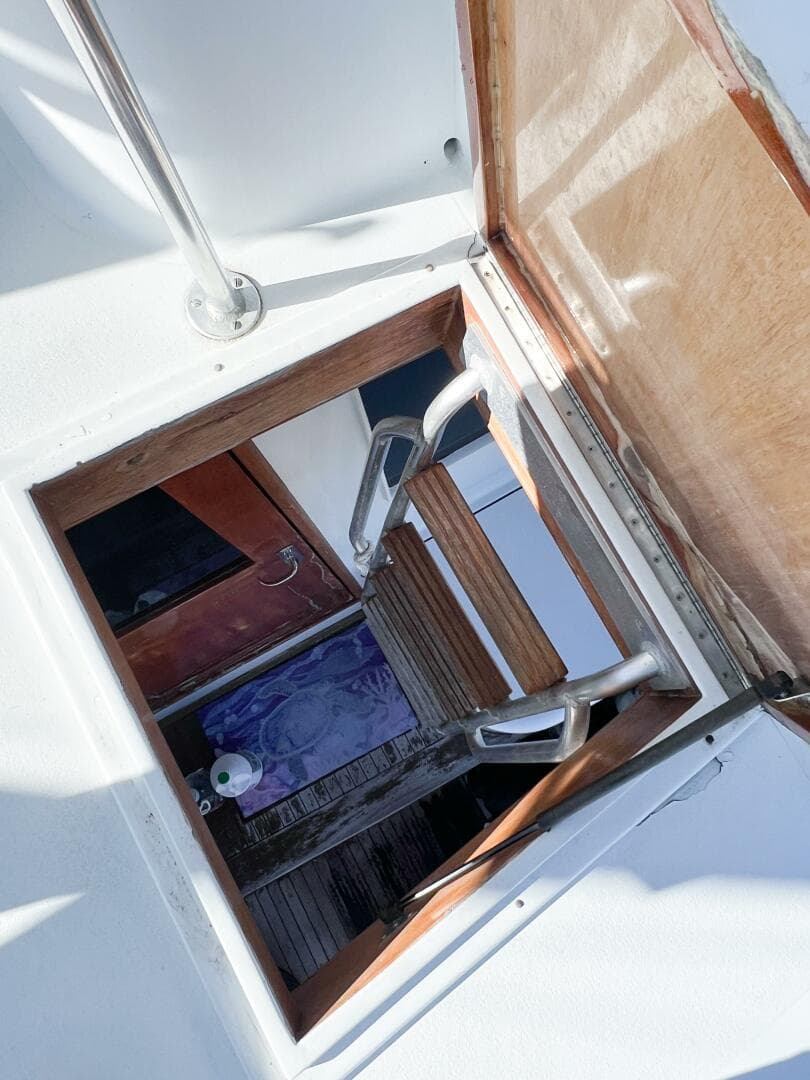 1987 Buddy Davis 61 Convertible