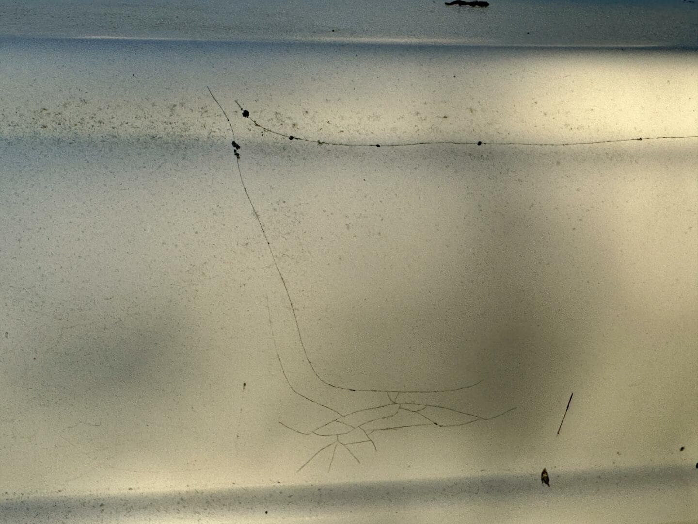 2004 Rinker 342 Fiesta Vee