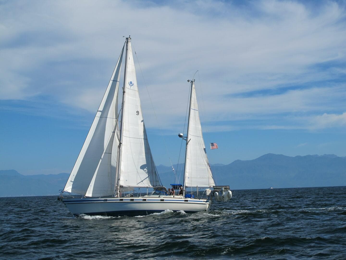 1984 Contest Conyplex - Contest