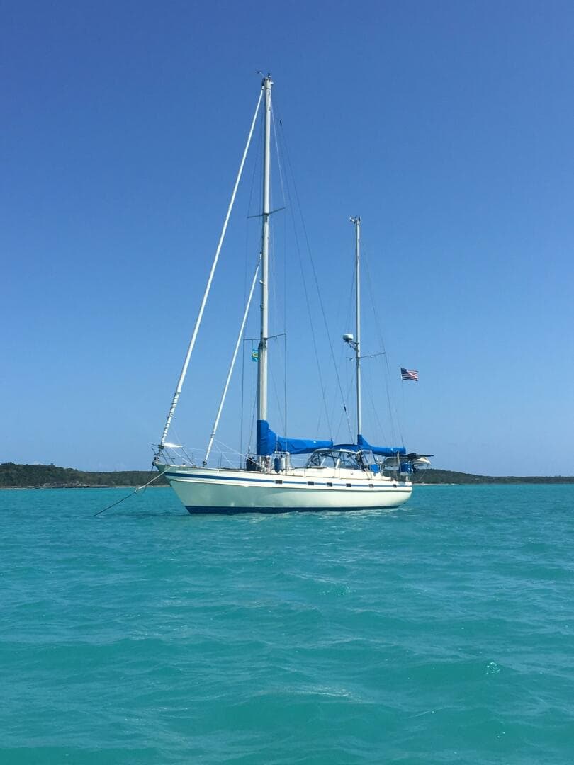 1984 Contest Conyplex - Contest