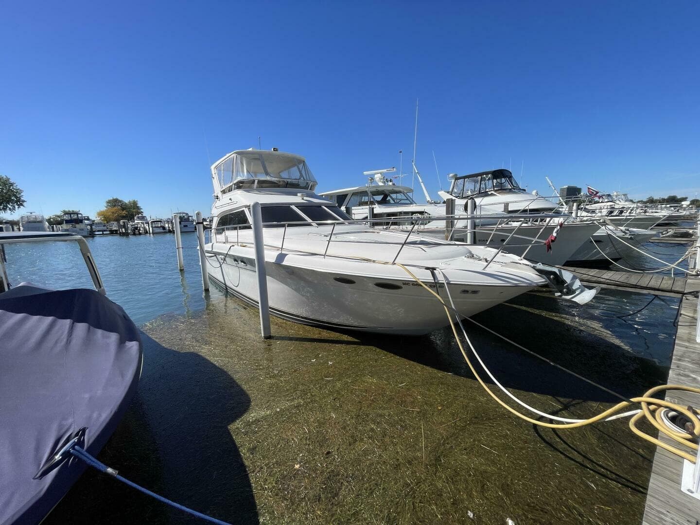 1998 Sea Ray 480 Sedan Bridge