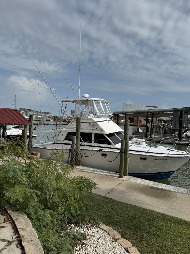 1983 Bertram 385 Convertible Cast Off II