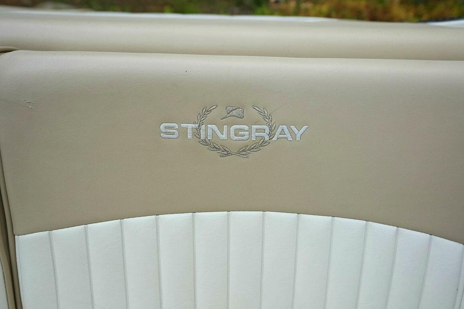 2016 Stingray 225 CR