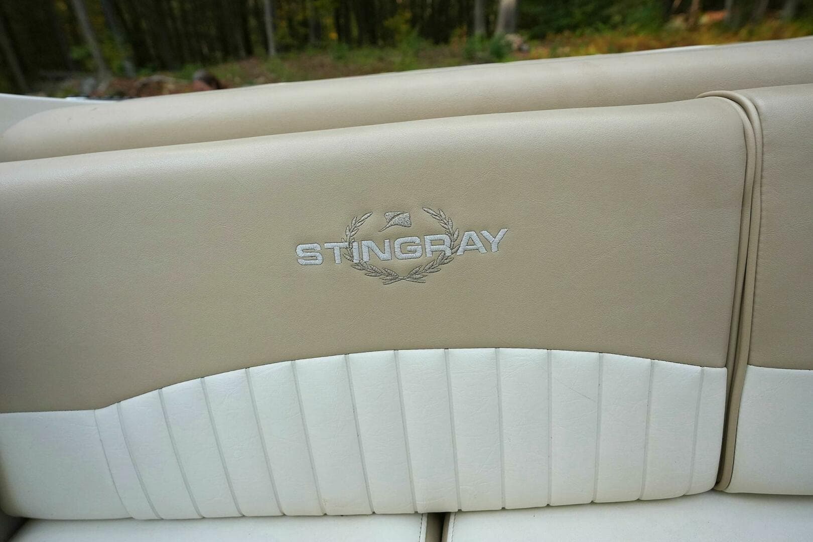 2016 Stingray 225 CR