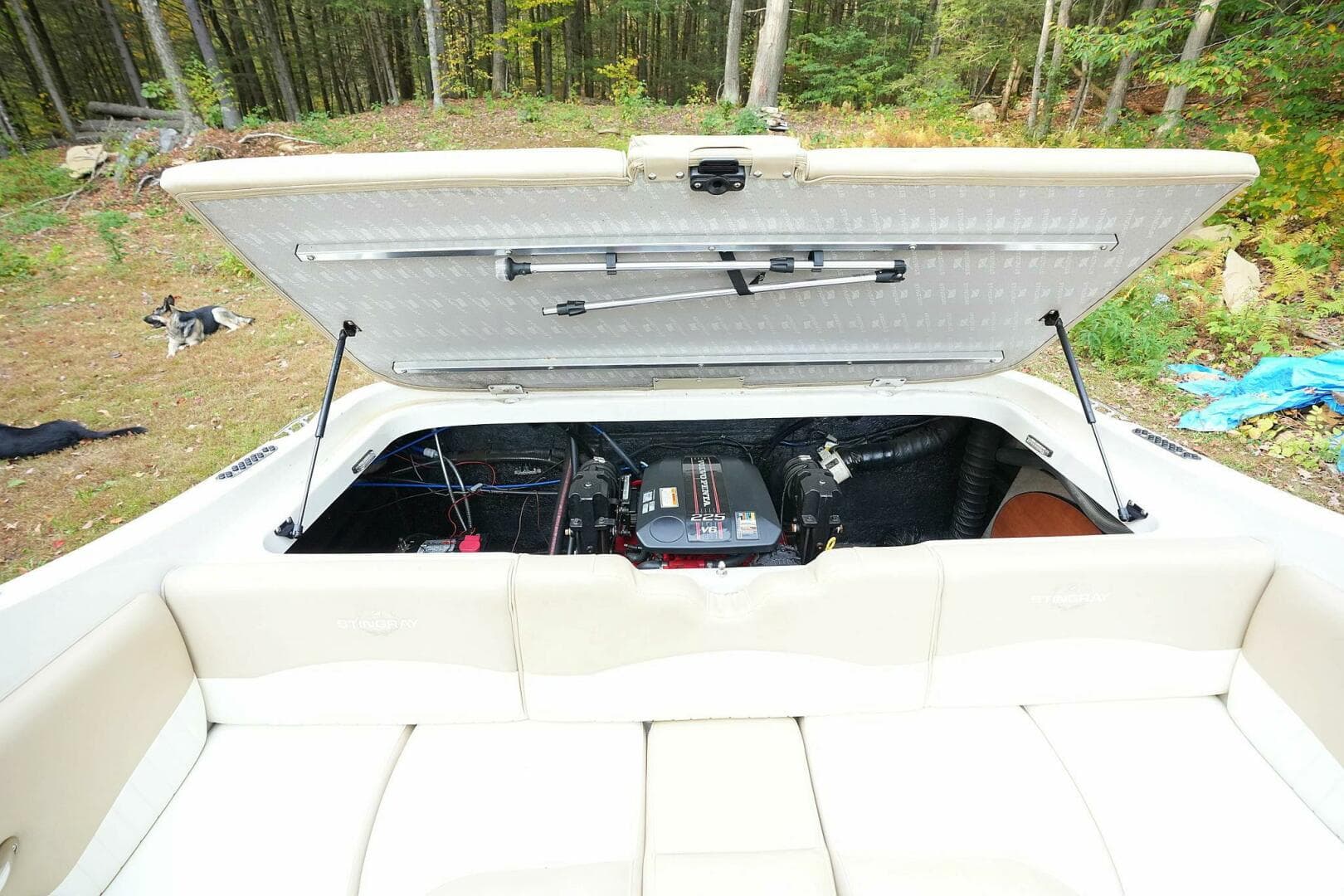 2016 Stingray 225 CR