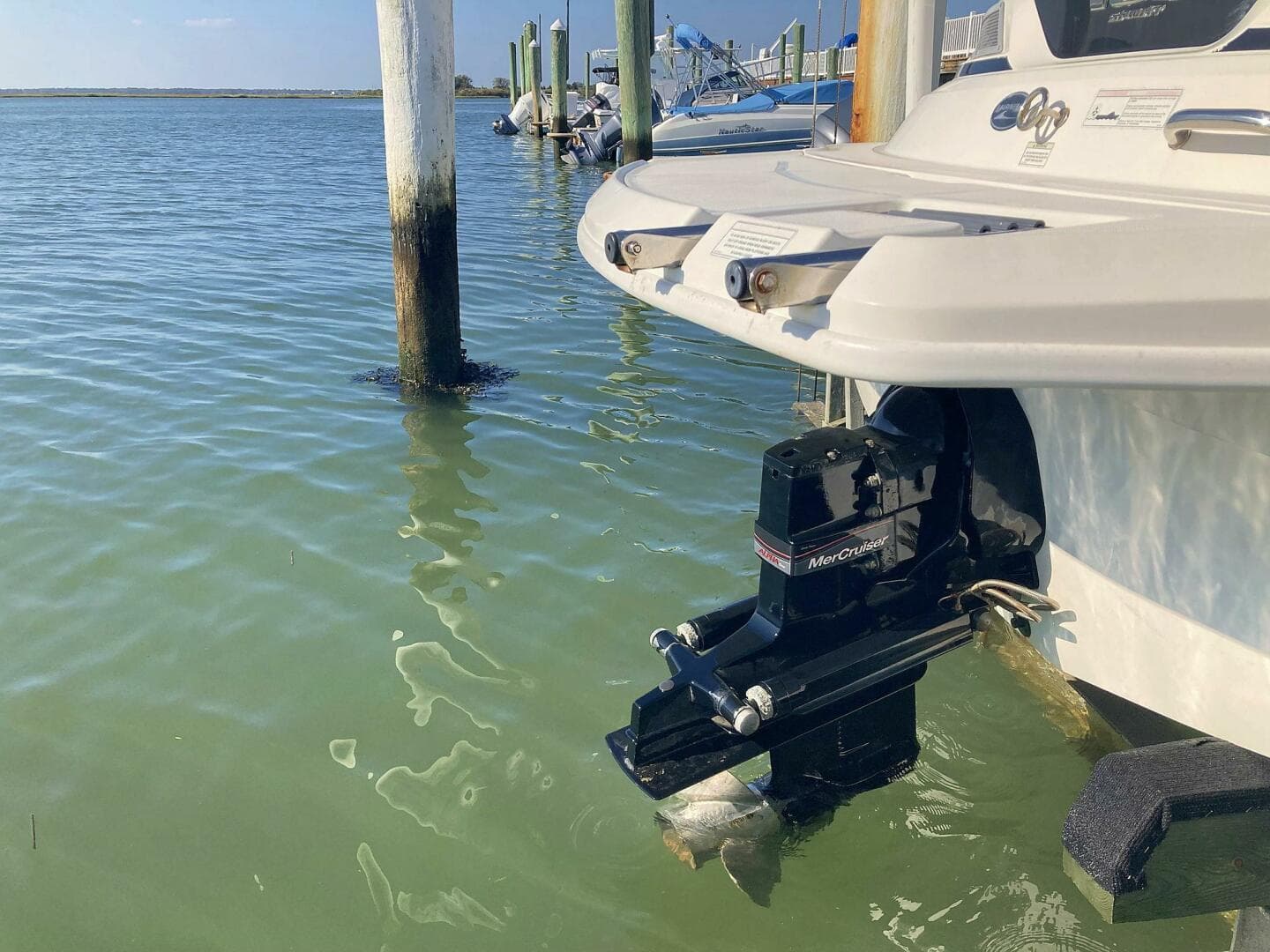 2012 Sea Ray 190 Sport