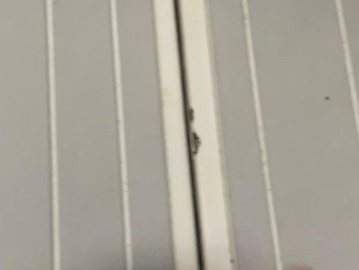 1990 Wellcraft Scarab 30 Cuddy