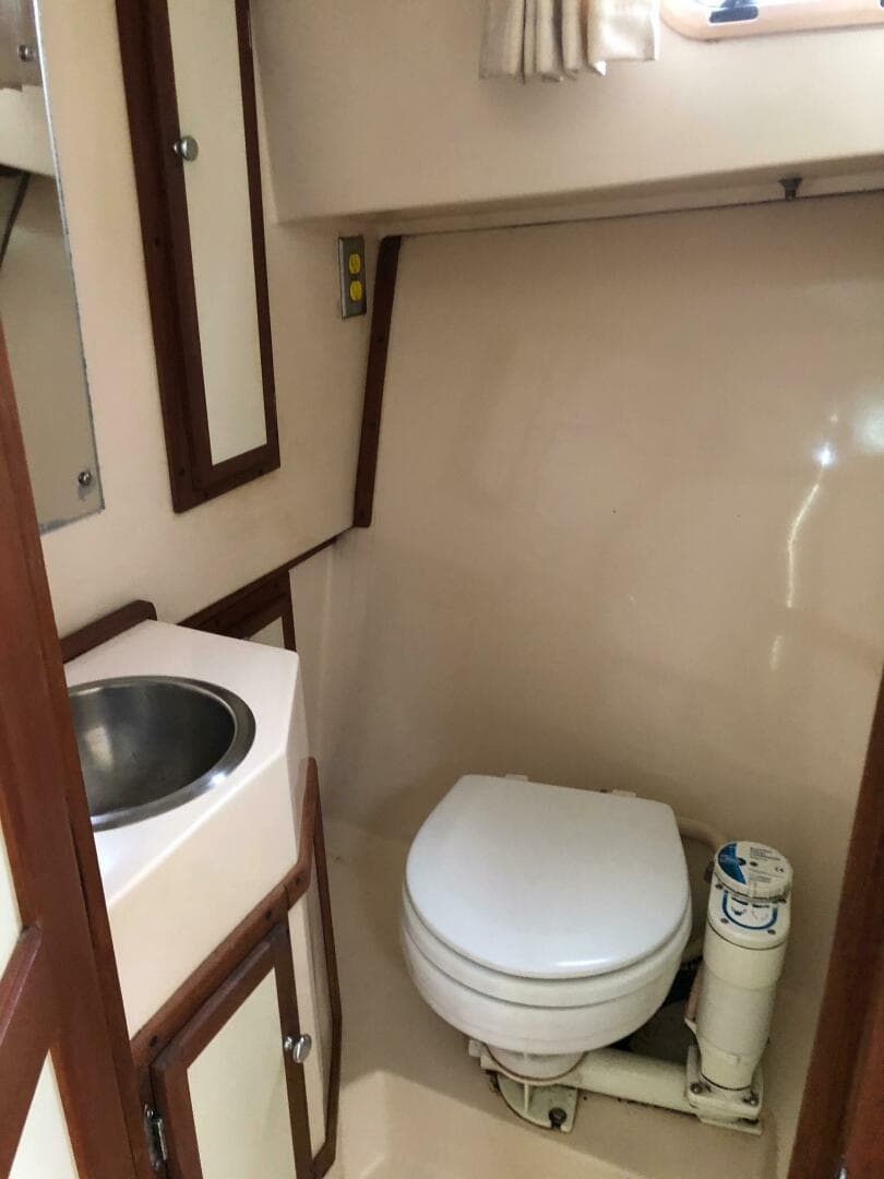 1990 Shannon Brendan 28