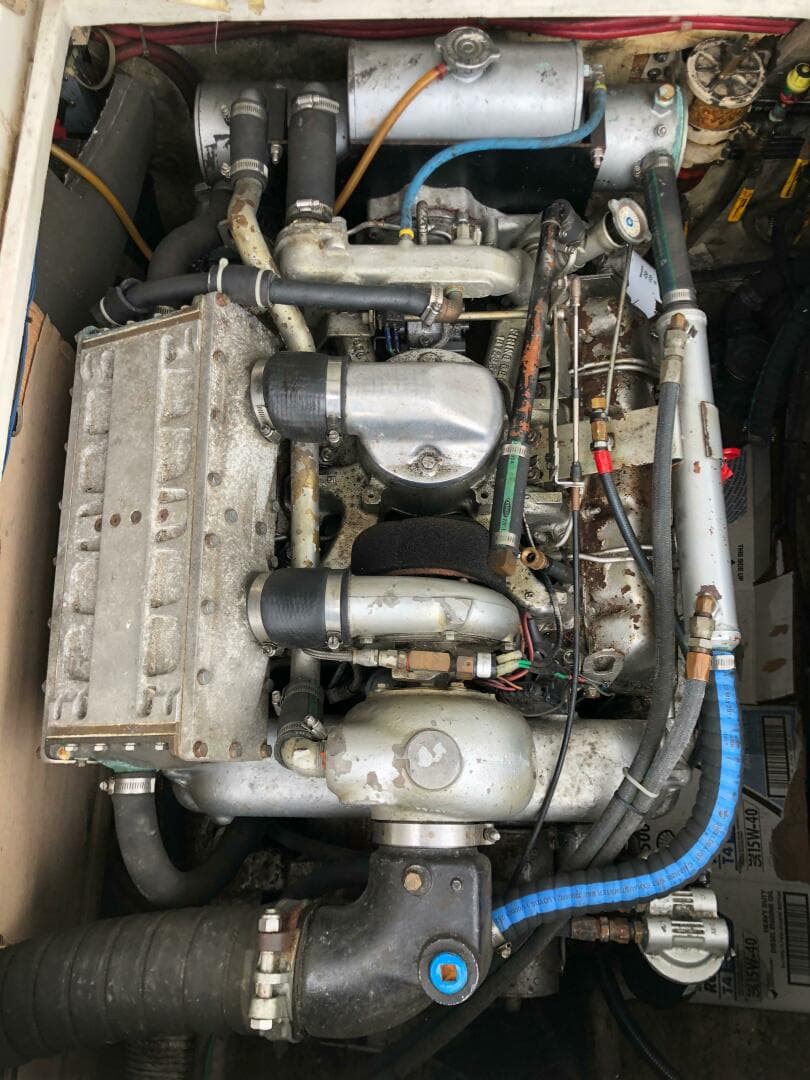 1990 Shannon Brendan 28