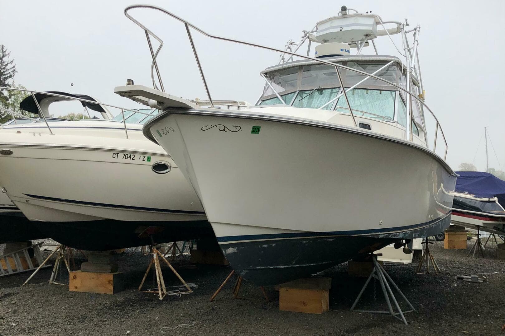 1990 Shannon Brendan 28