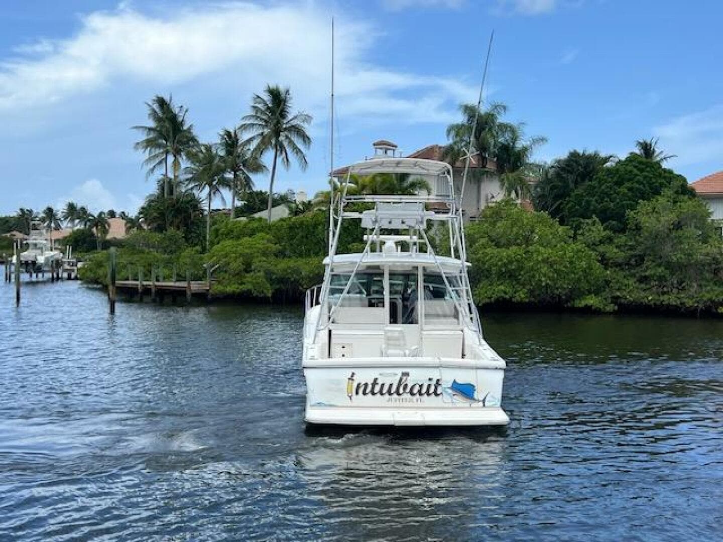 2003 Tiara Yachts 3800 Open cruising in tropical waters with palm trees.