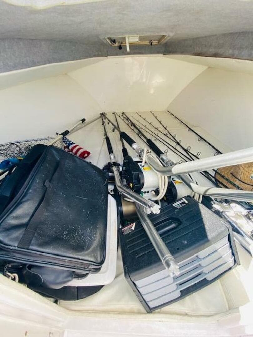 2004 Contender 31 Cuddy