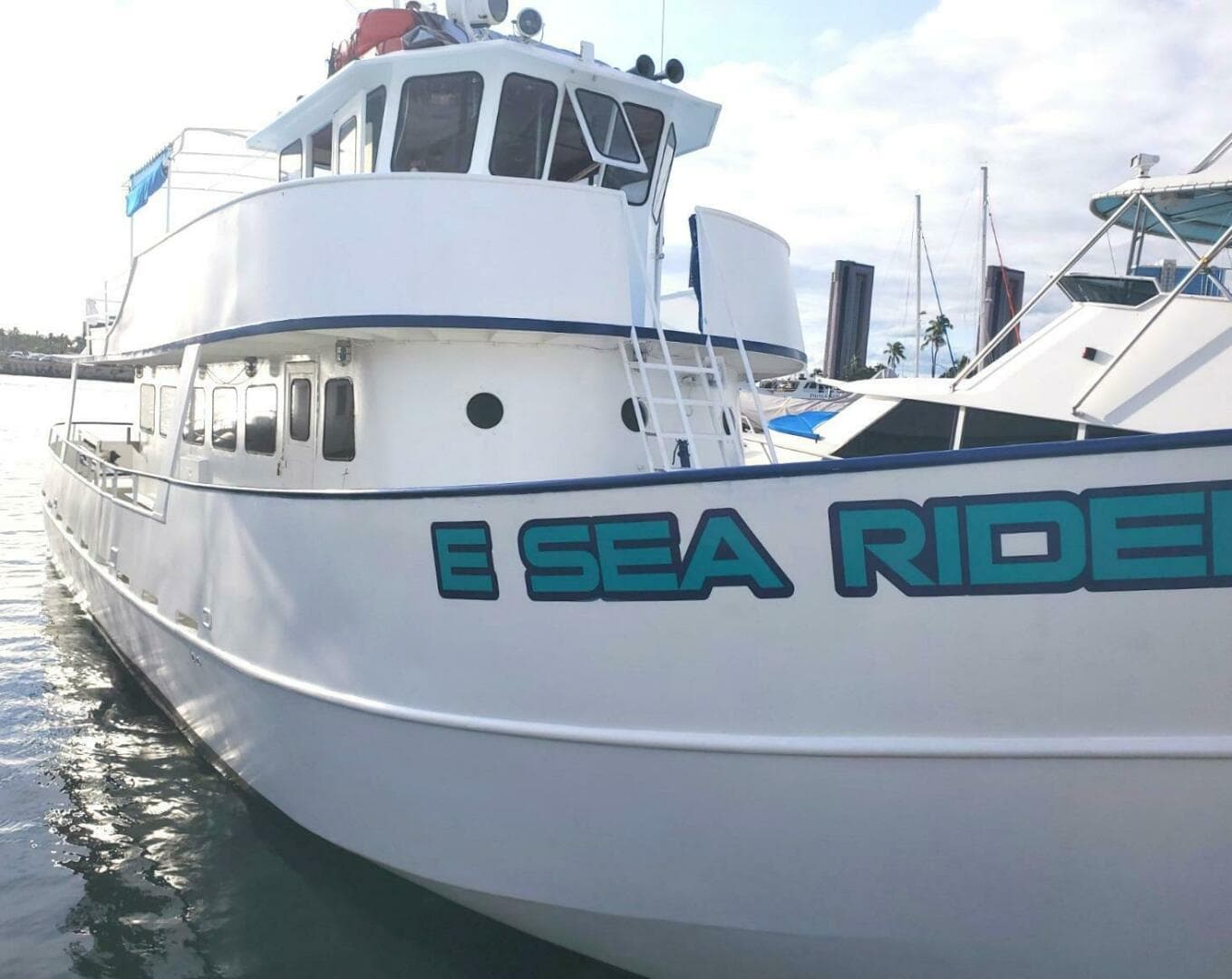 1982 Custom Commercial Steel Passenger