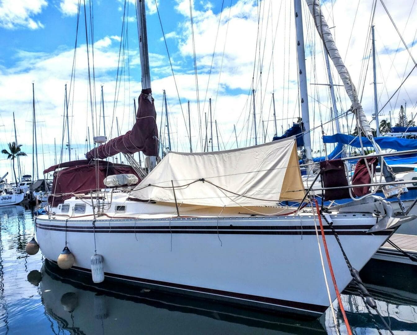 1983 Morgan Nelson Marek 45-4