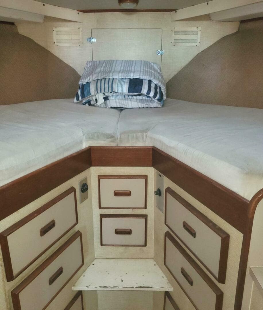 1979 Bertram 38 Convertible Sportfisher