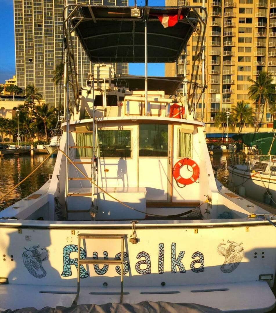 1979 Bertram 38 Convertible Sportfisher