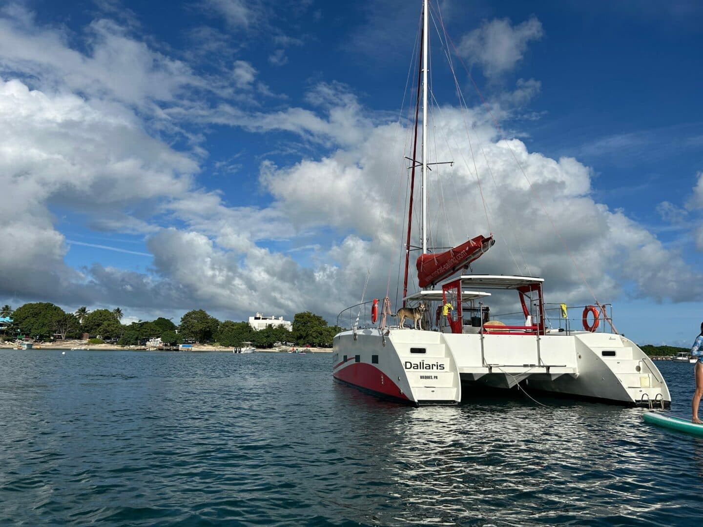 2019-caledonia-marine-systems-halifax-37-sail-9672303-20250202123430193-1_XLARGE.jpg