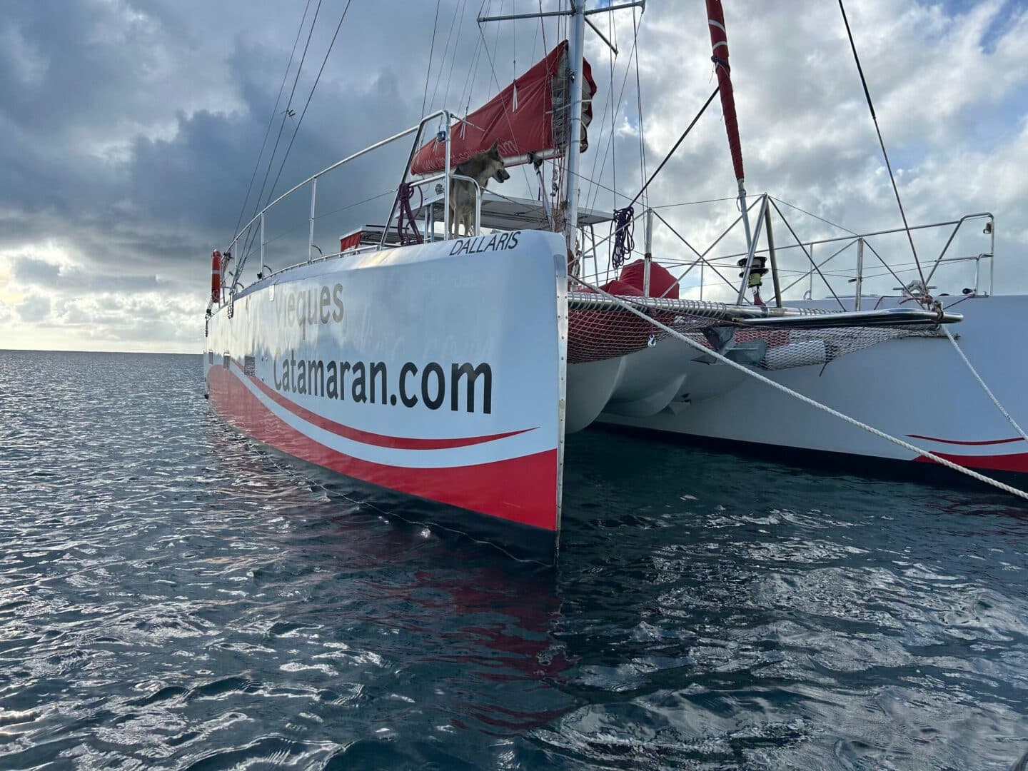 2019-caledonia-marine-systems-halifax-37-sail-9672303-20250202125343914-1_XLARGE.jpg