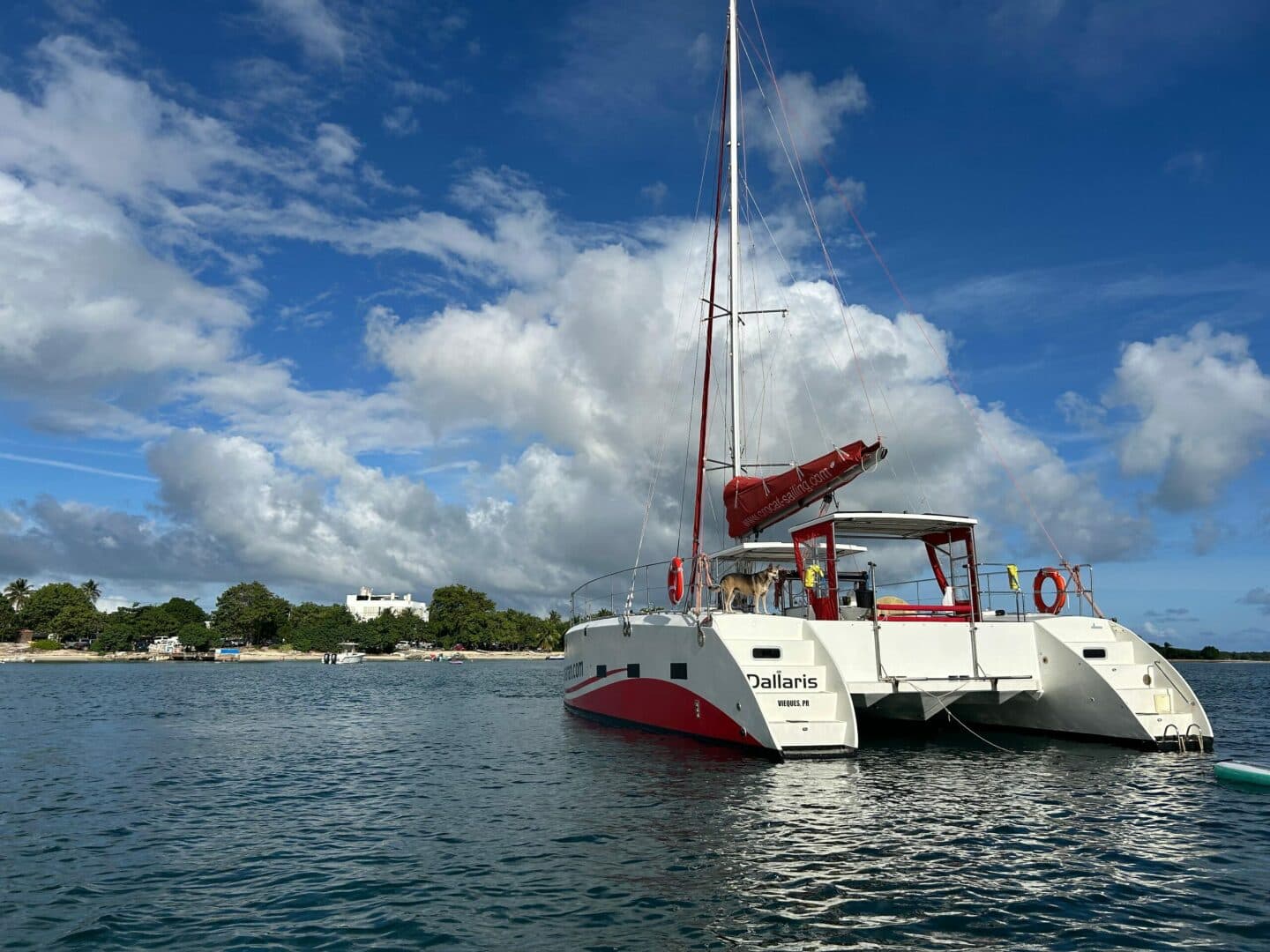 2019-caledonia-marine-systems-halifax-37-sail-9672303-20250202123425070-1_XLARGE.jpg