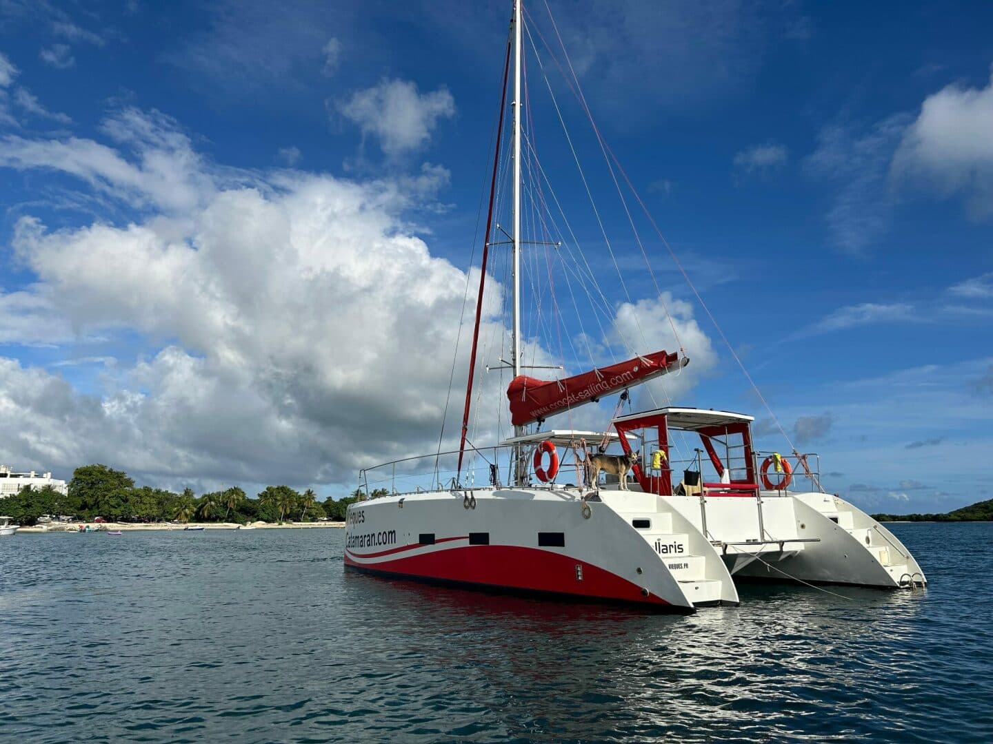 2019-caledonia-marine-systems-halifax-37-sail-9672303-20250202123409848-1_XLARGE.jpg