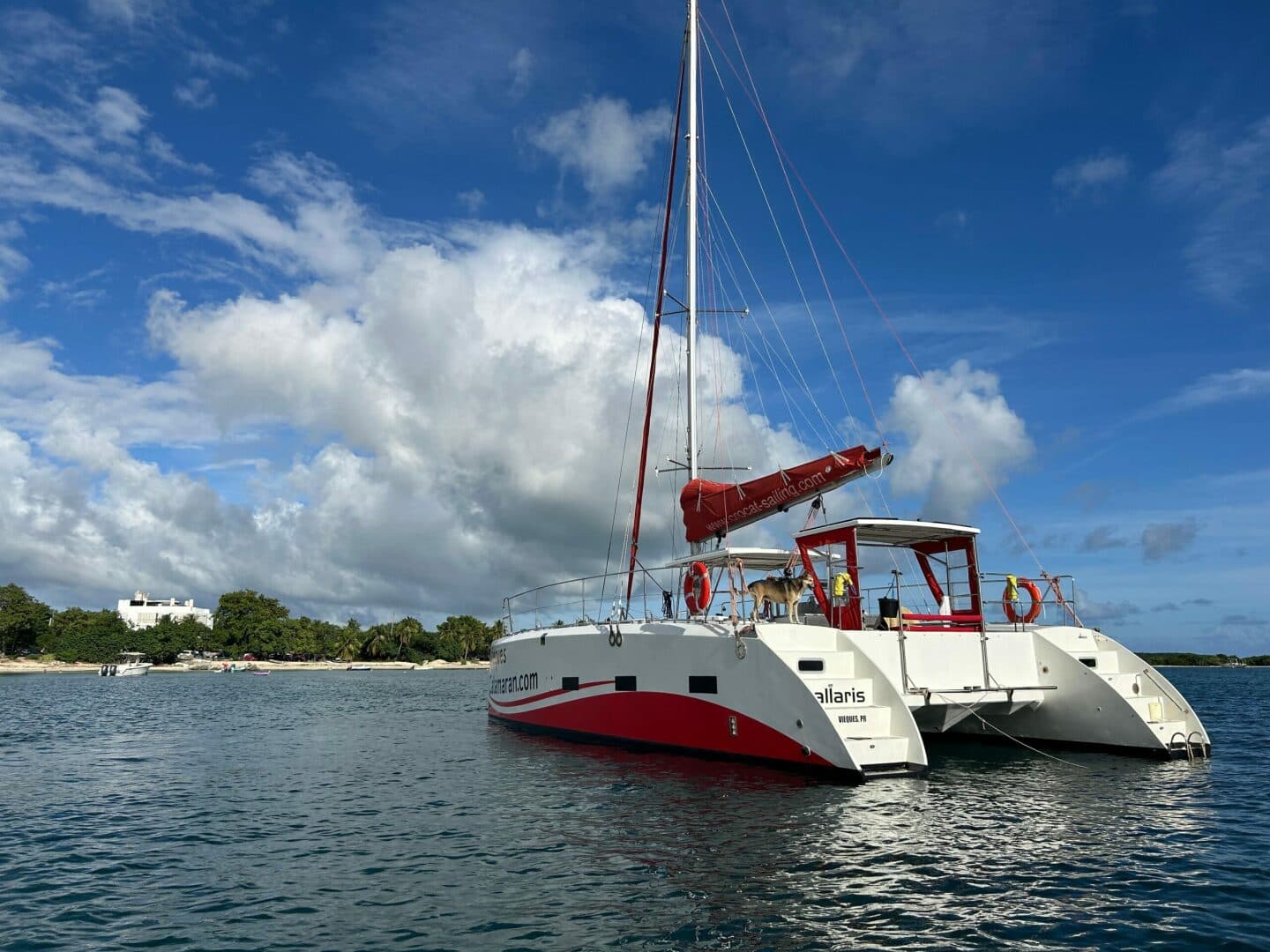 2019-caledonia-marine-systems-halifax-37-sail-9672303-20250202123414966-1_XLARGE.jpg