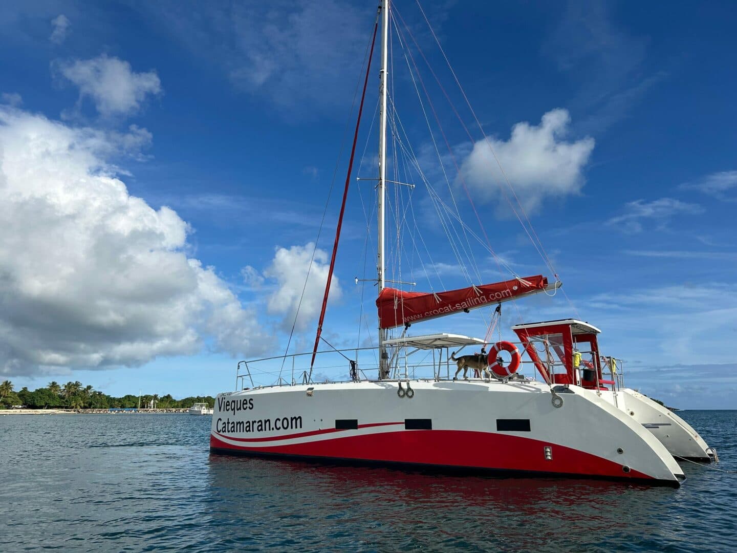 2019-caledonia-marine-systems-halifax-37-sail-9672303-20250202123354500-1_XLARGE.jpg