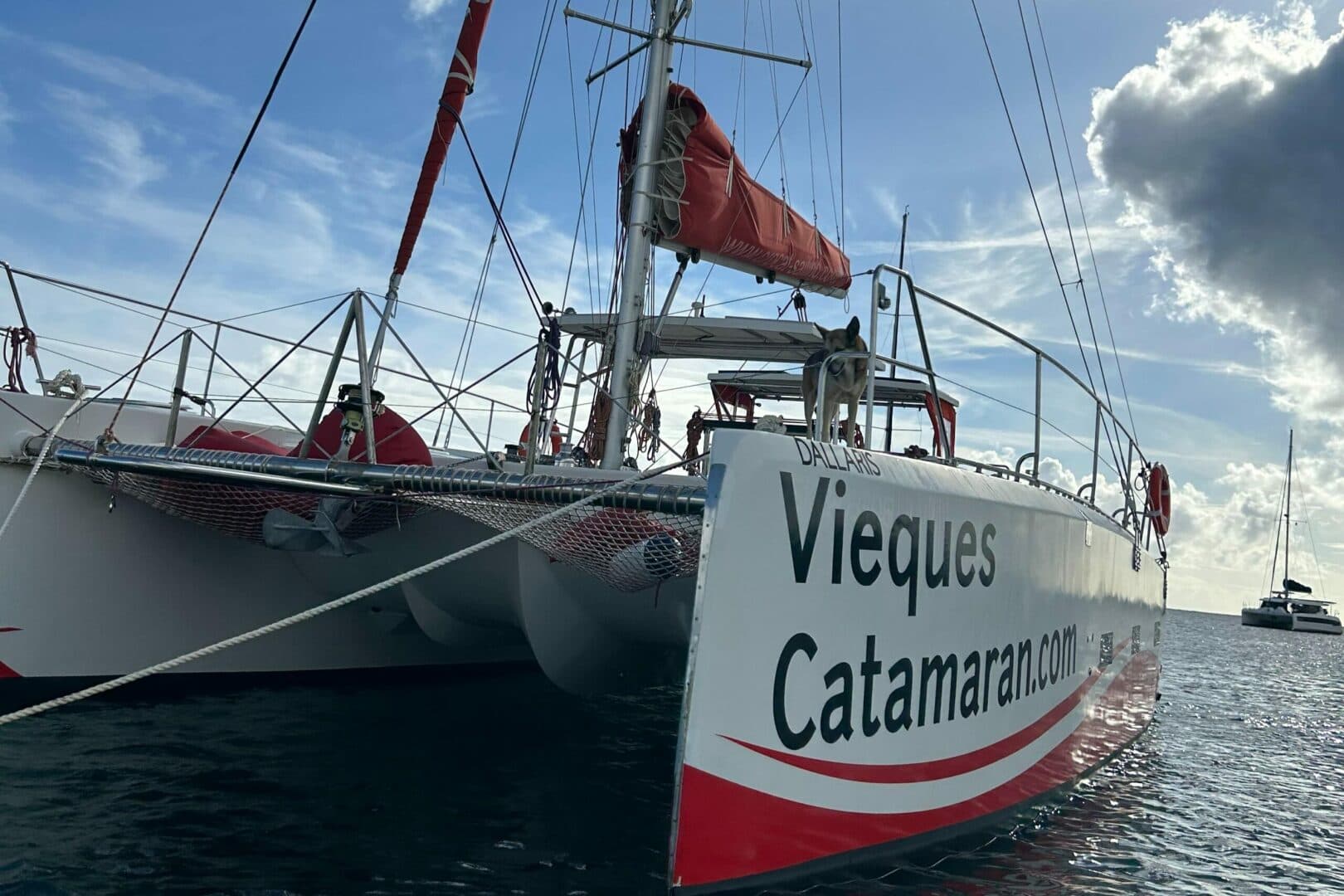 2019-caledonia-marine-systems-halifax-37-sail-9672303-20250202125436639-1_XLARGE.jpg