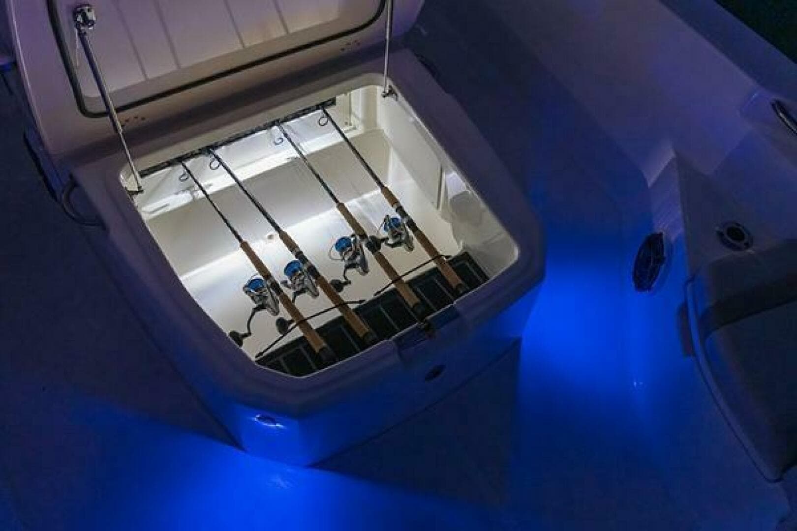 2023 Boston Whaler 250 Dauntless