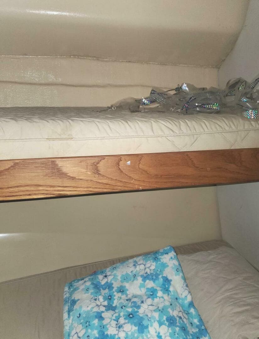 1988 Bertram 37 Convertible