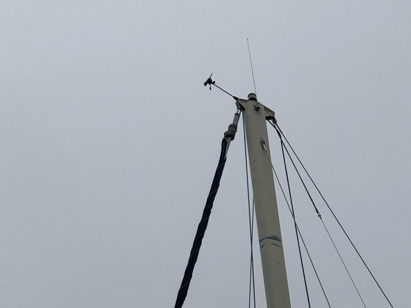 1988 Catalina Morgan Classic 41