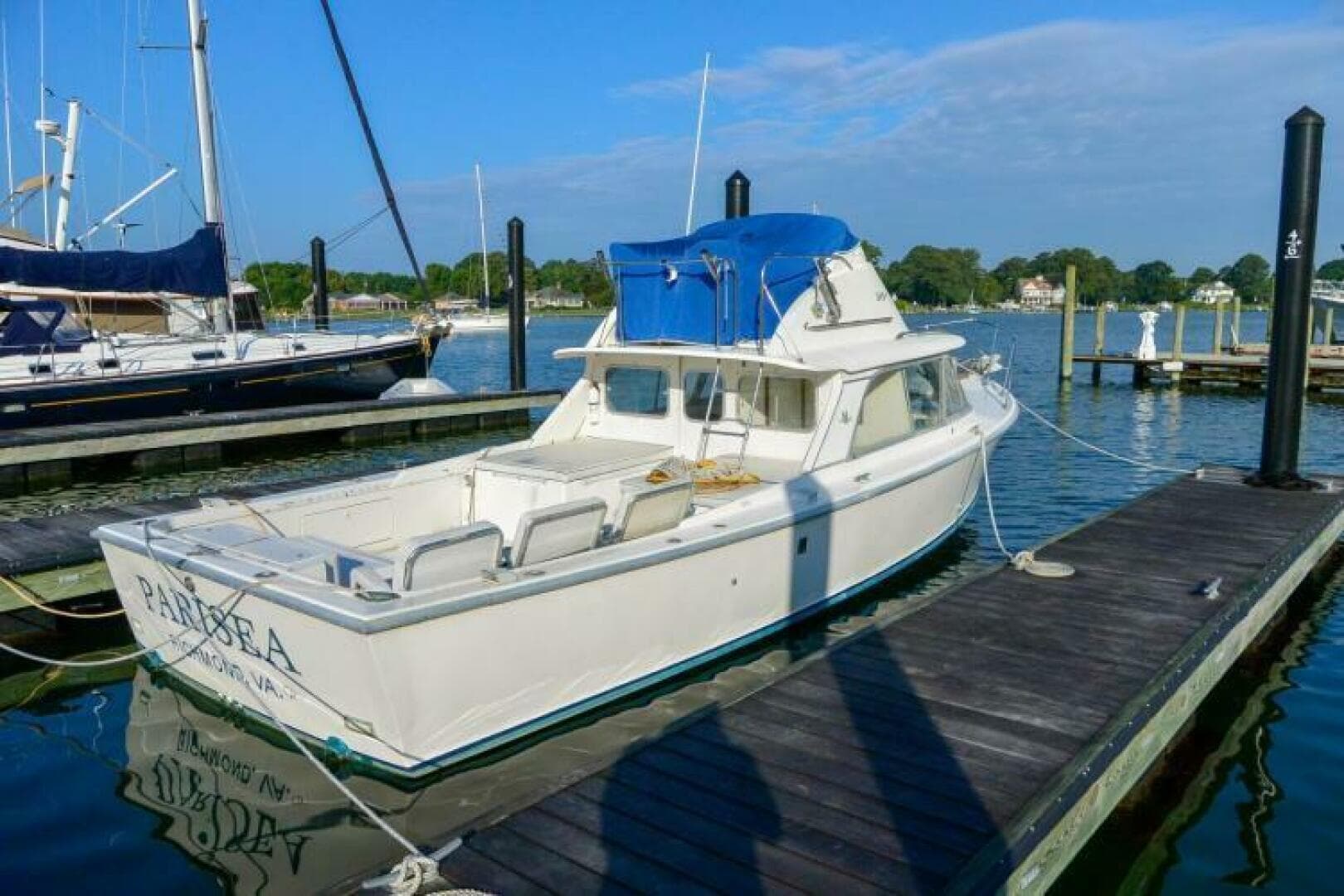 1977 Bertram 31
