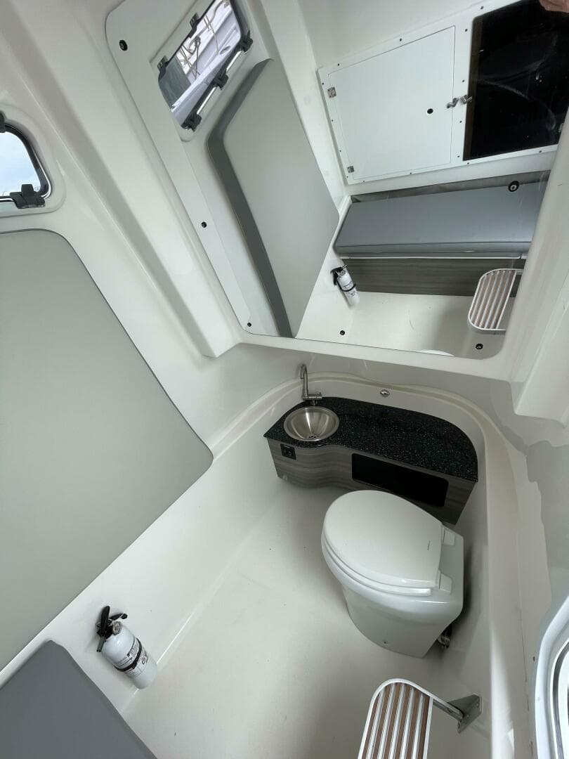 Sea Pro 320 DLX 2023- Head