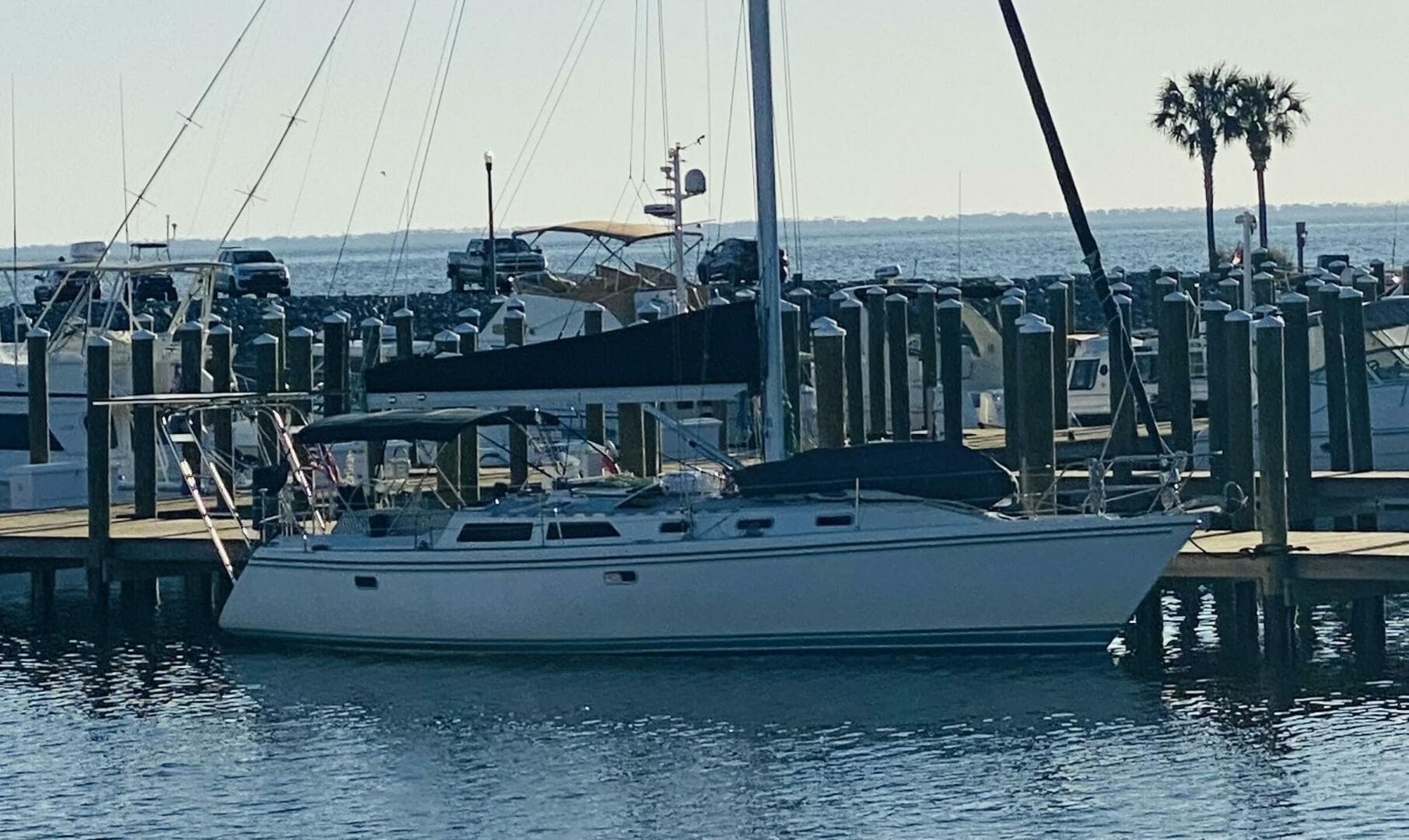 Catalina 42