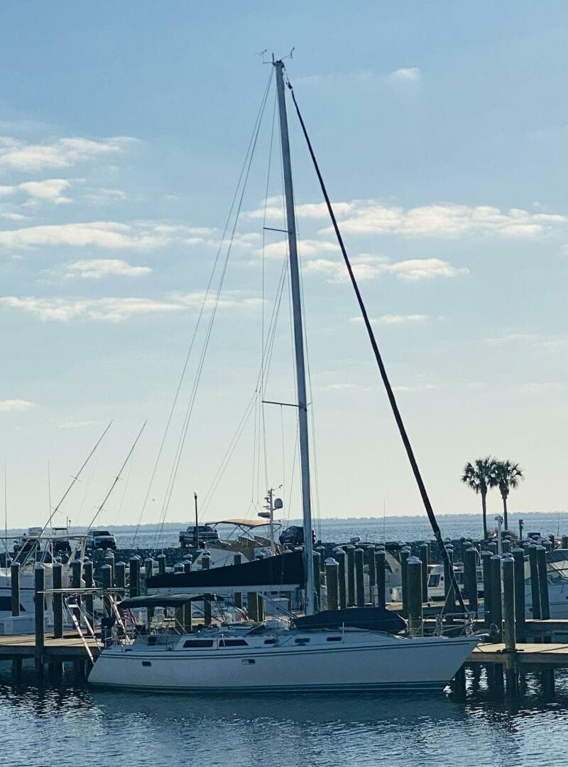 Catalina 42