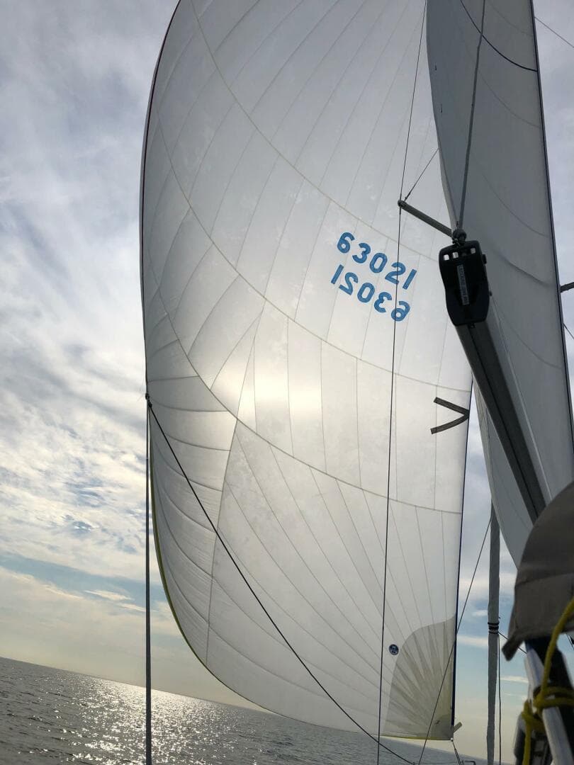 2019 Jeanneau Sun Odyssey 349