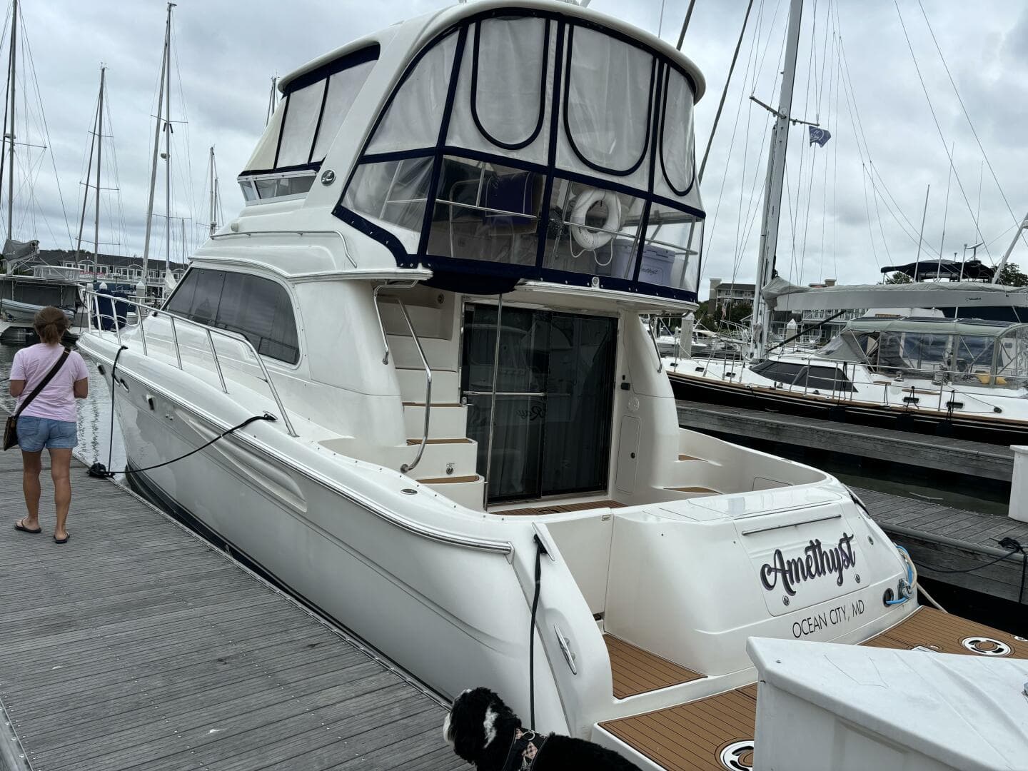 2004 Sea Ray 48 Sedan Bridge