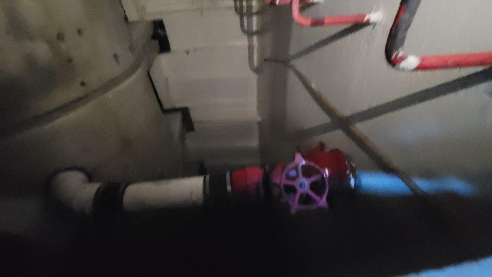 1984 Custom Vinette 99 Paddle Wheel