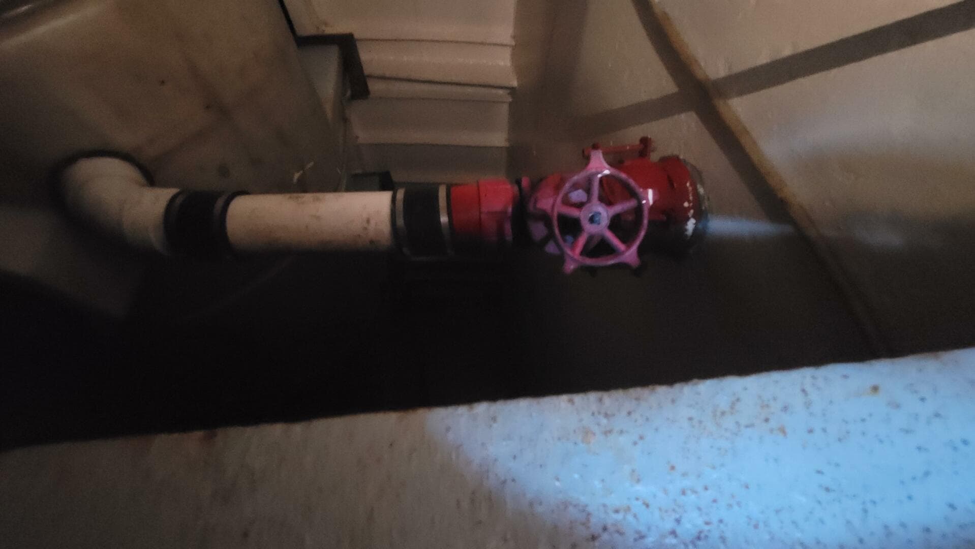 1984 Custom Vinette 99 Paddle Wheel